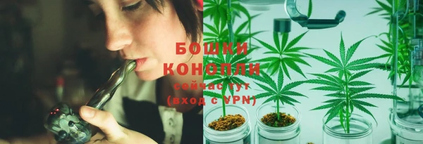 spice Верея