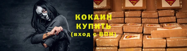стафф Бородино