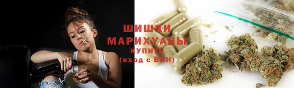 шишки Верхний Тагил