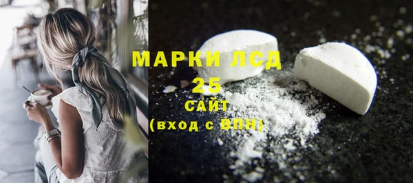 шишки Верхний Тагил