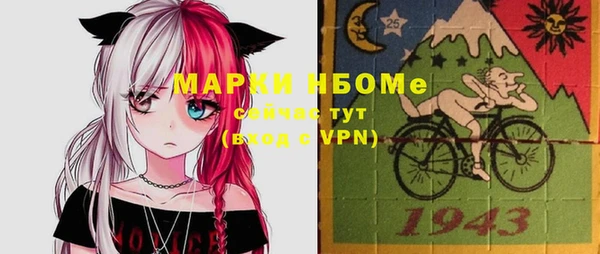шишки Верхний Тагил