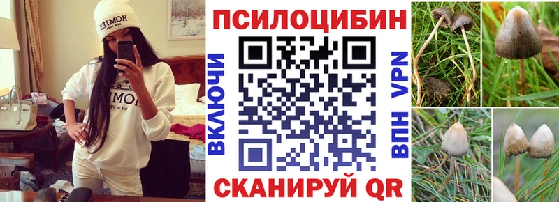 нарко площадка наркотические препараты  Дно  Псилоцибиновые грибы прущие грибы  закладка 