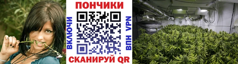 цена   Дно  Шишки марихуана AK-47 